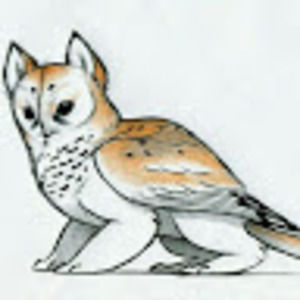 Meet your Posher, Alice